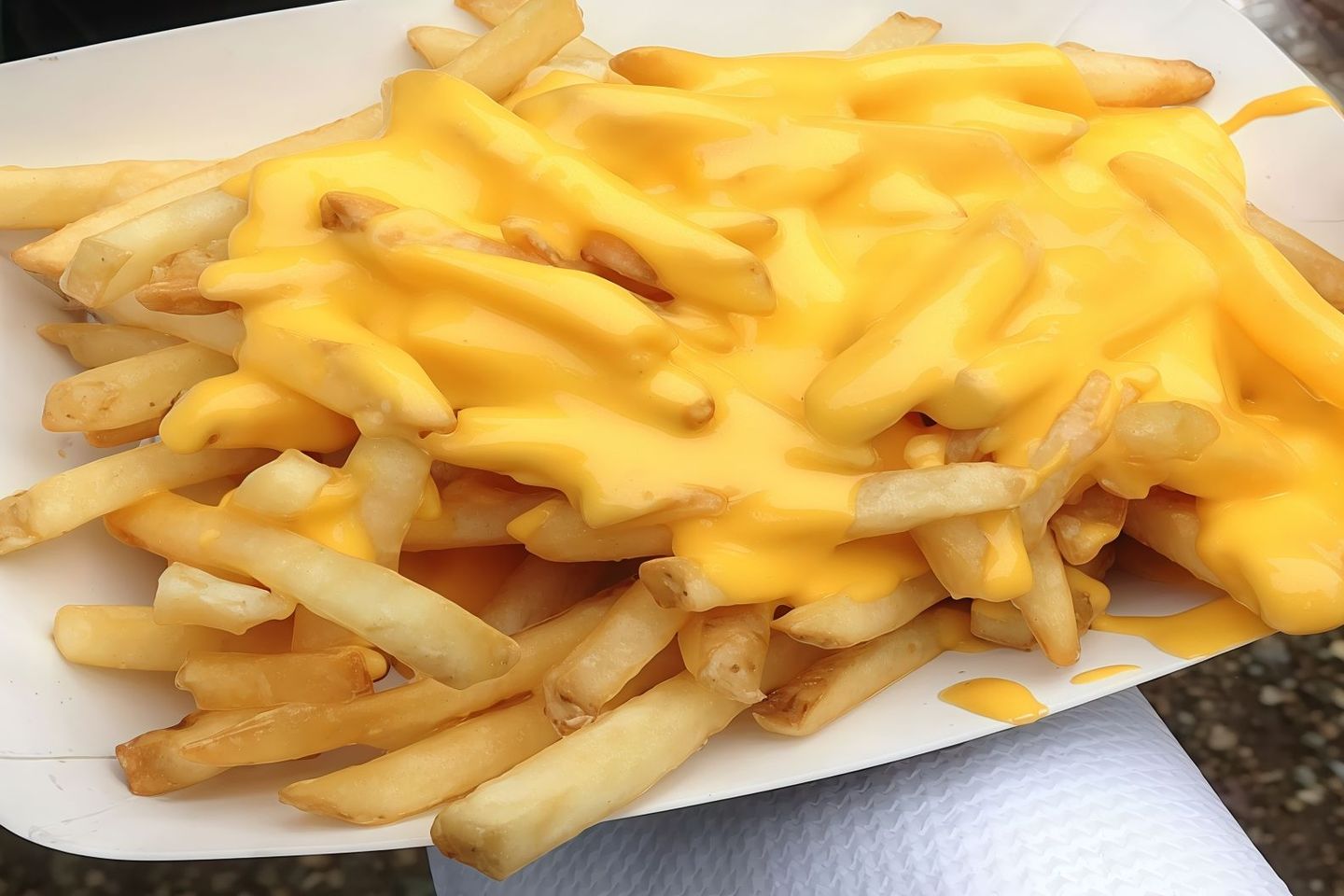 Large Cheese Fries