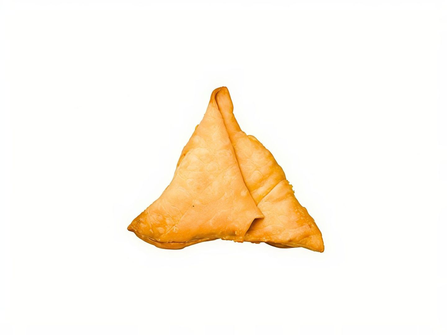 Indian Samosa   Chicken