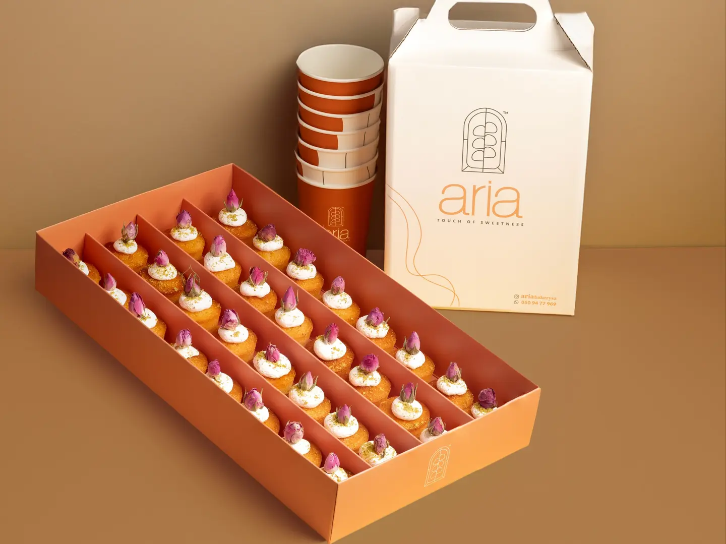 عرض بوكس مينى قشطية مع بوكس قهوة