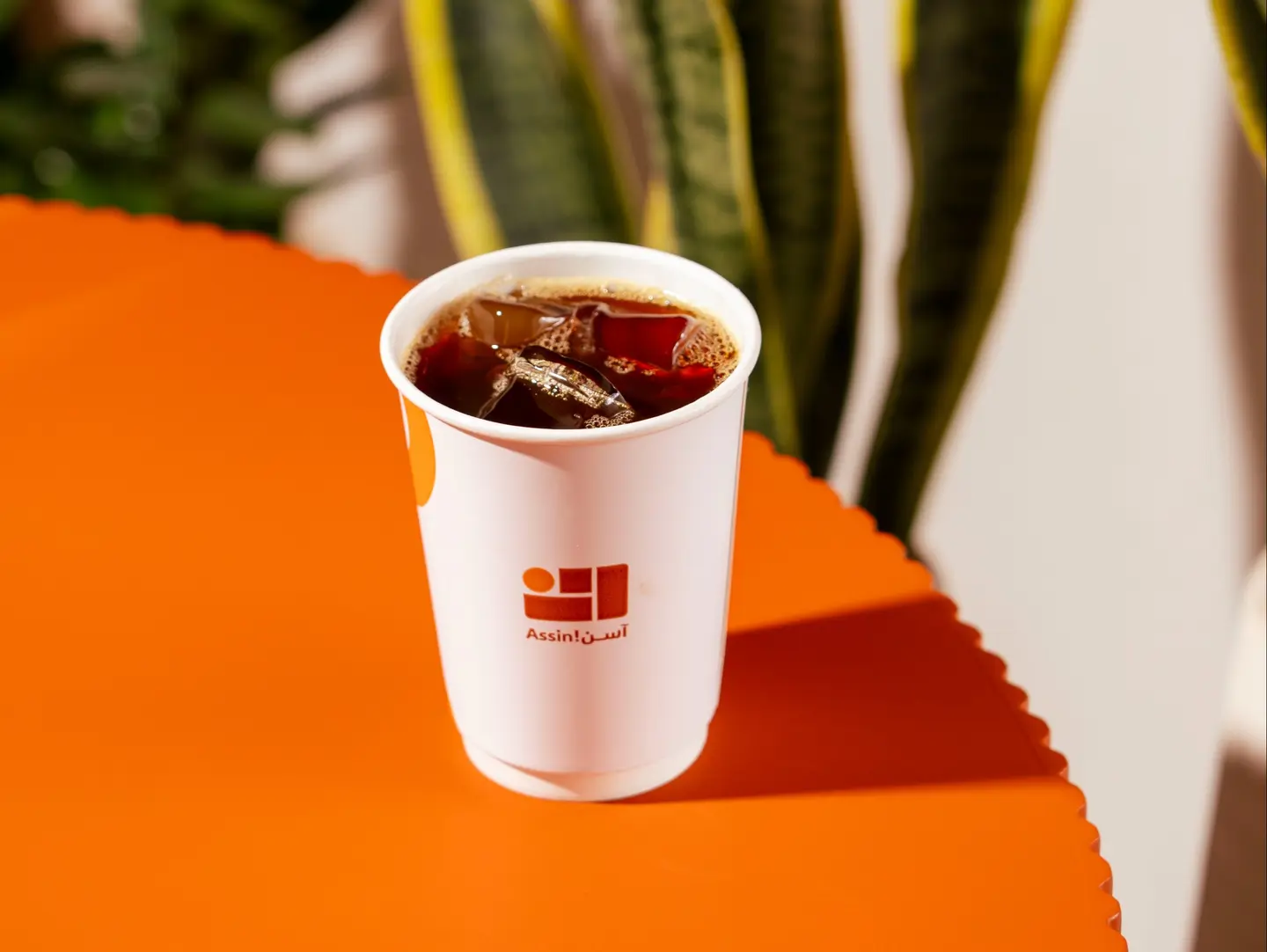 قهوة اليوم بارد كبير