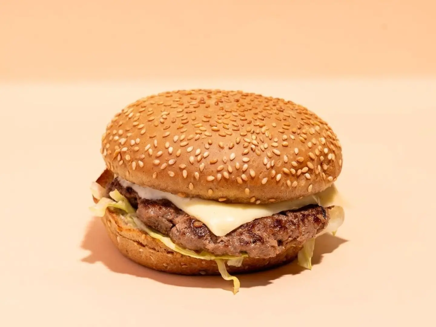 Protein Burger