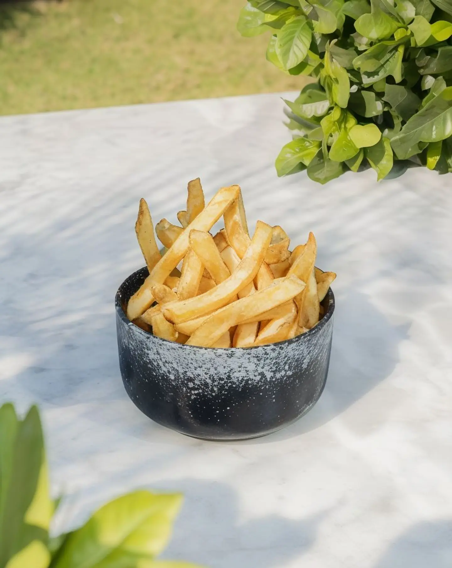 Fries