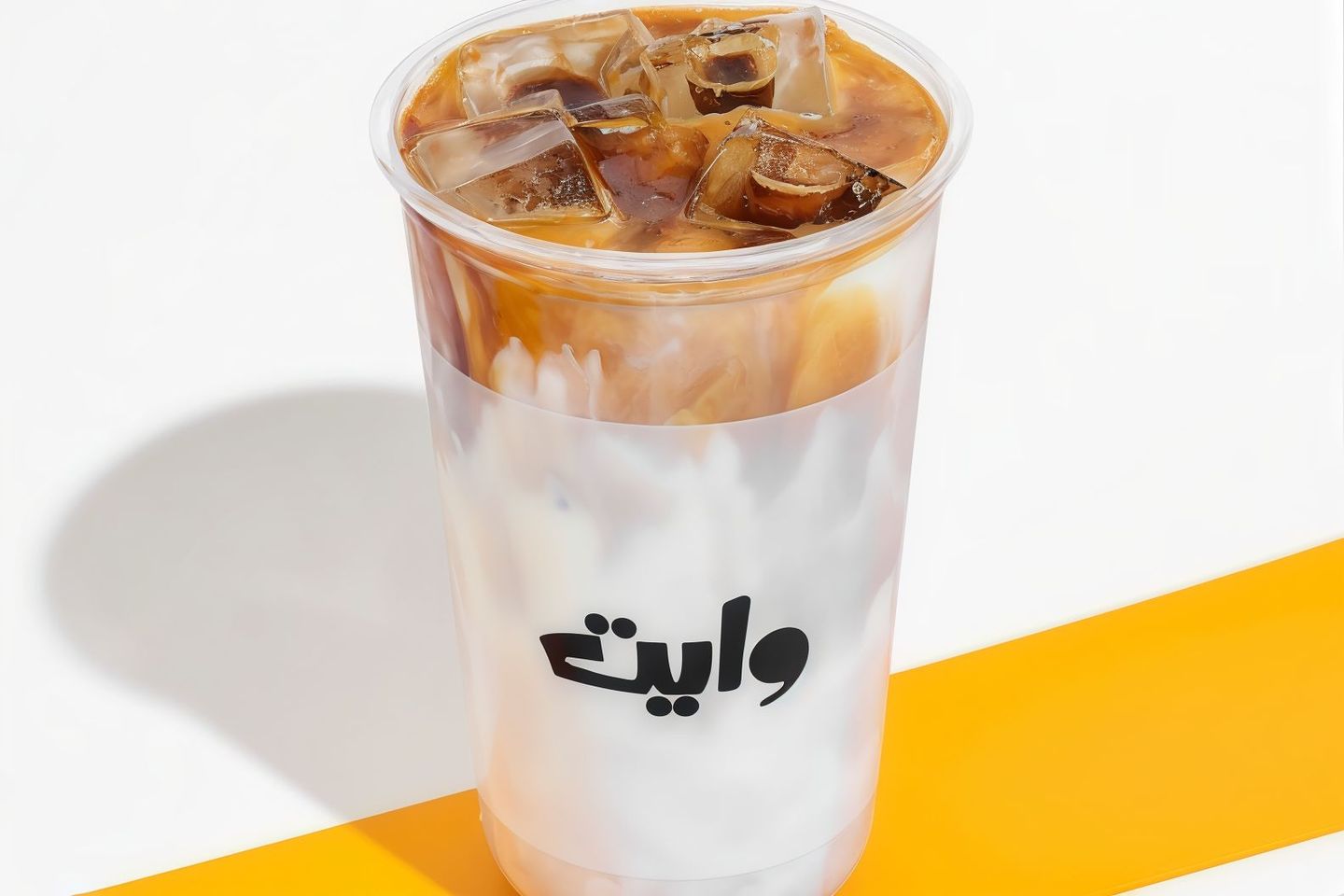 سبانيش لاتية بارد - كبير