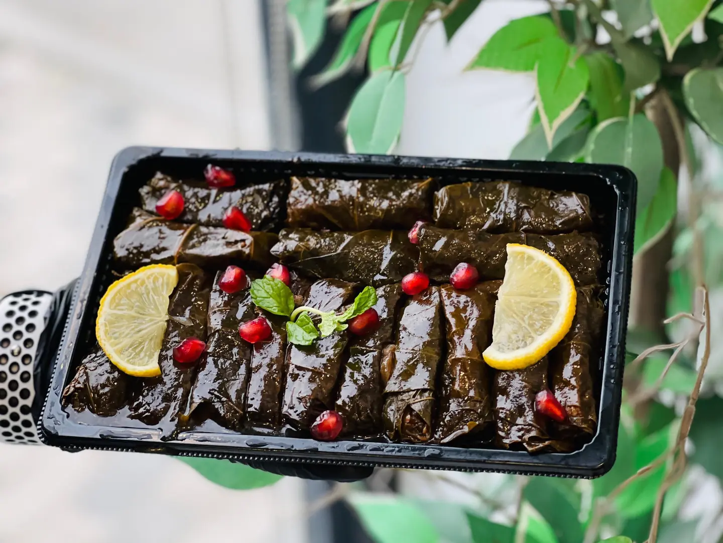 Grape Leaves - Large