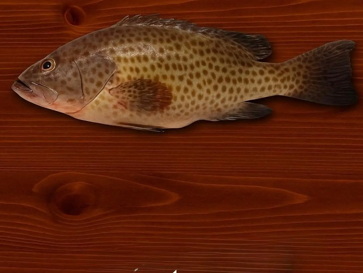 Grouper