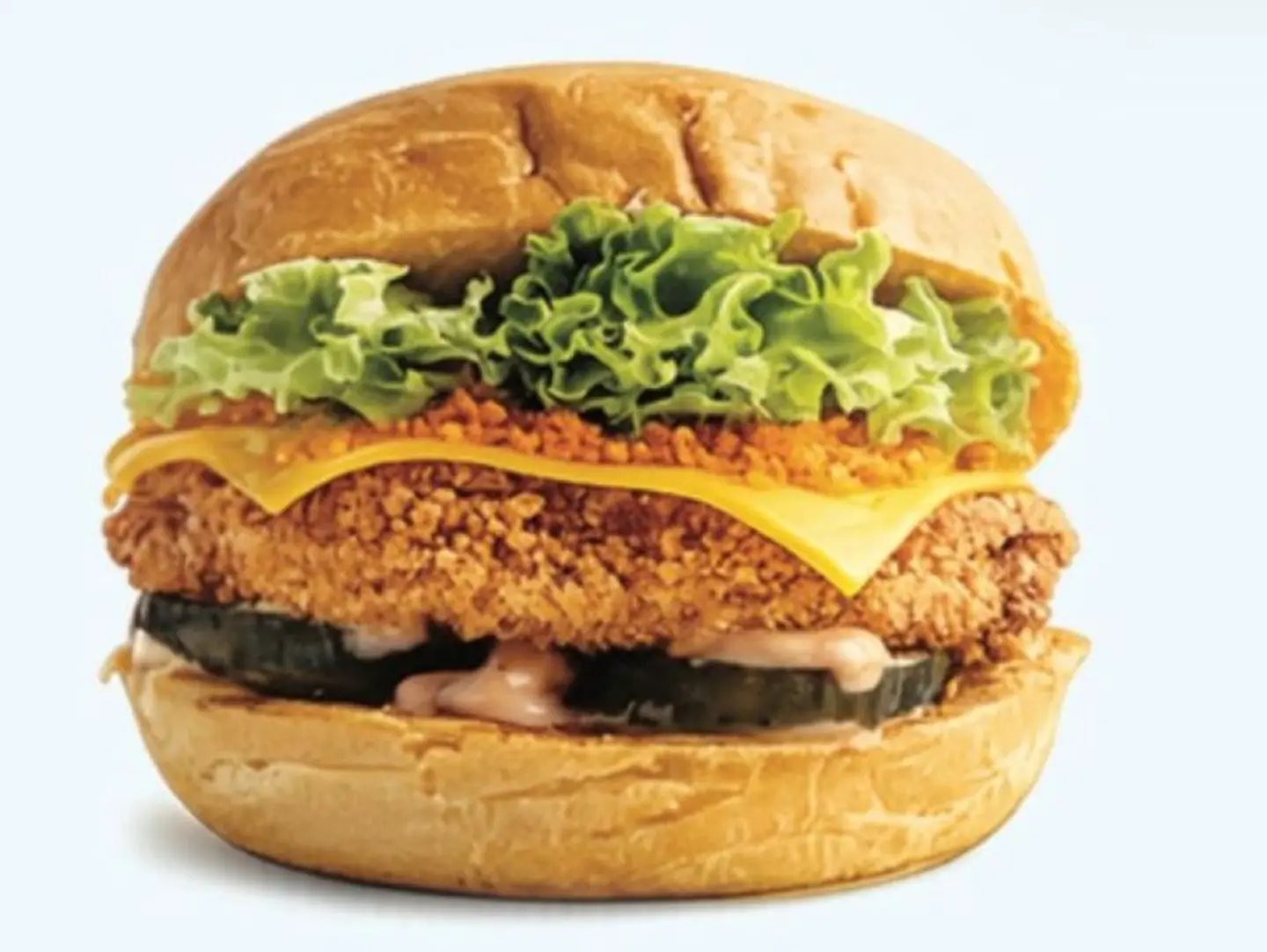 Two Crunchy Spicy Chicken Burgers With Fries