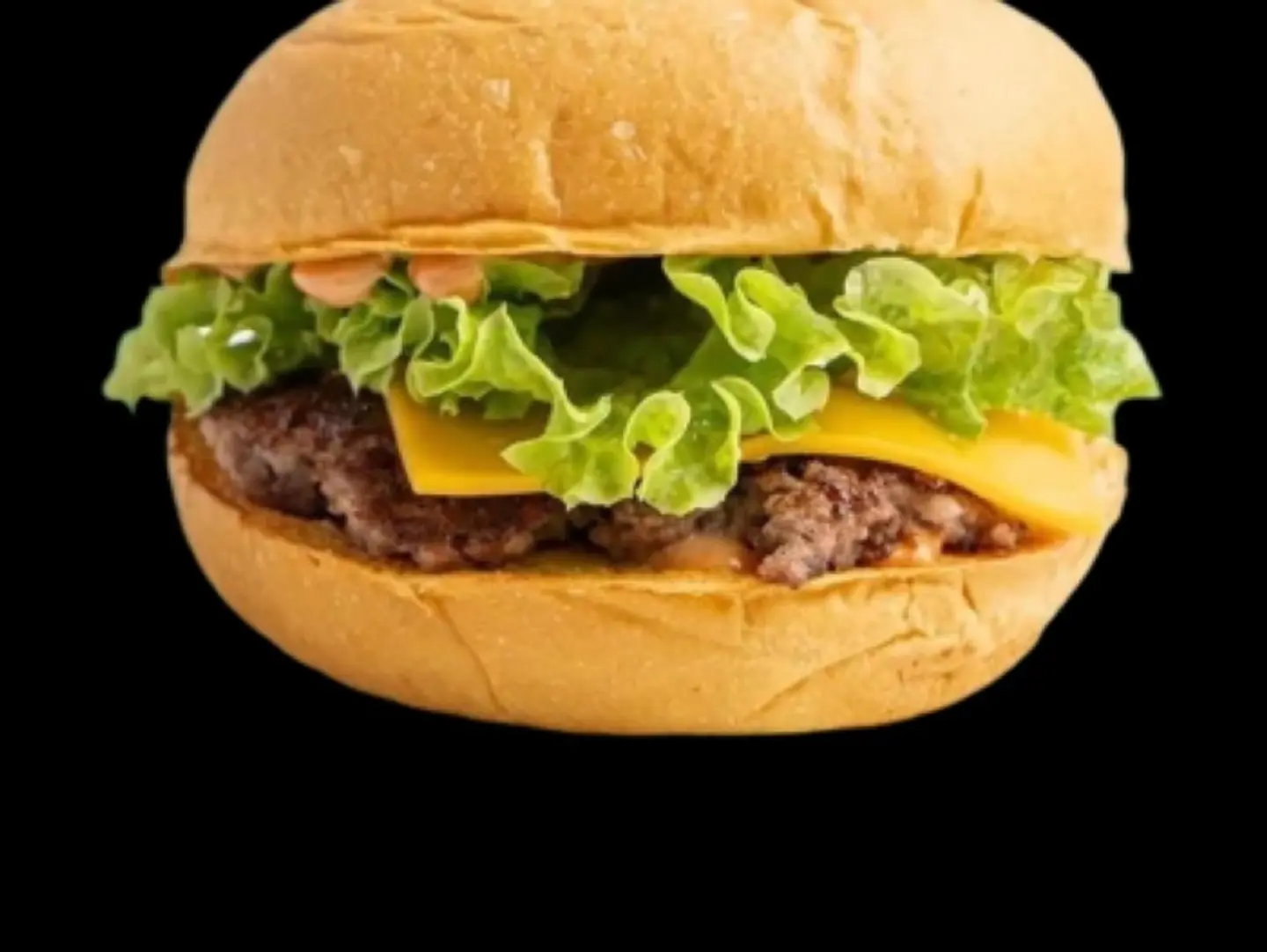 Includes 2 Grilled Chicken Burgers With Fries