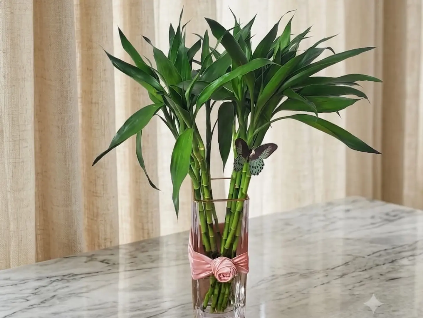 Bamboo Plant 01