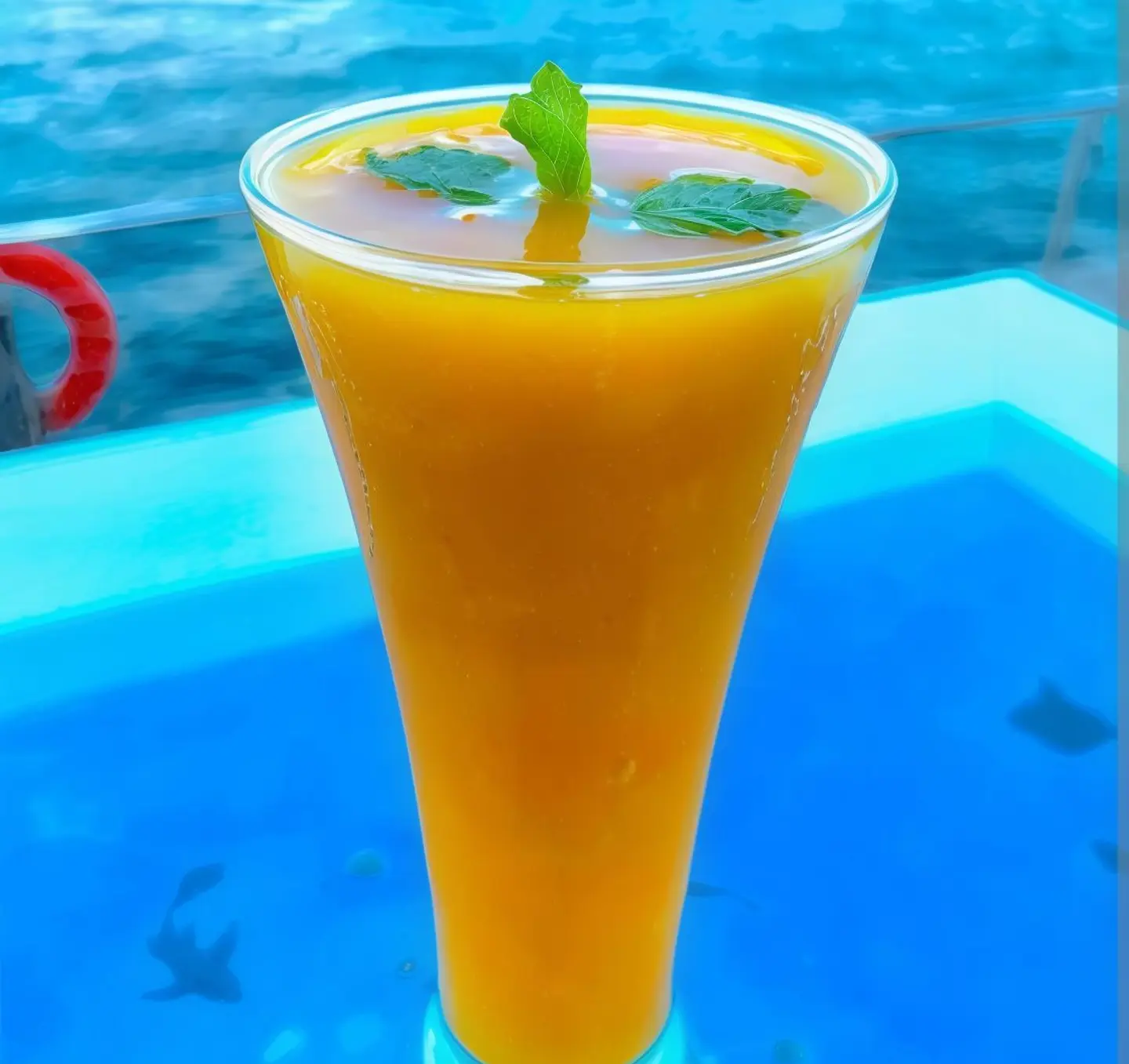 Mango