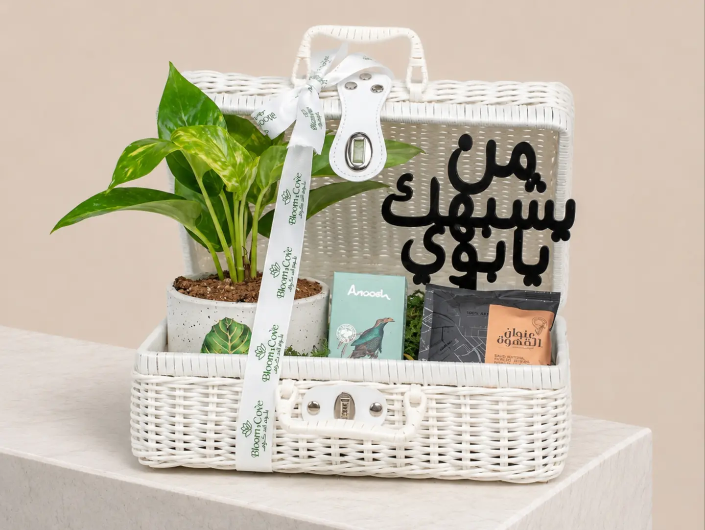 حقيبة أبي الخضراء