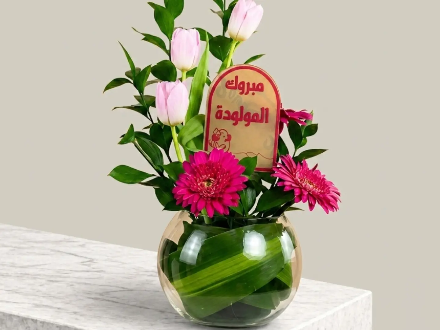 فازة مبروك المولودة