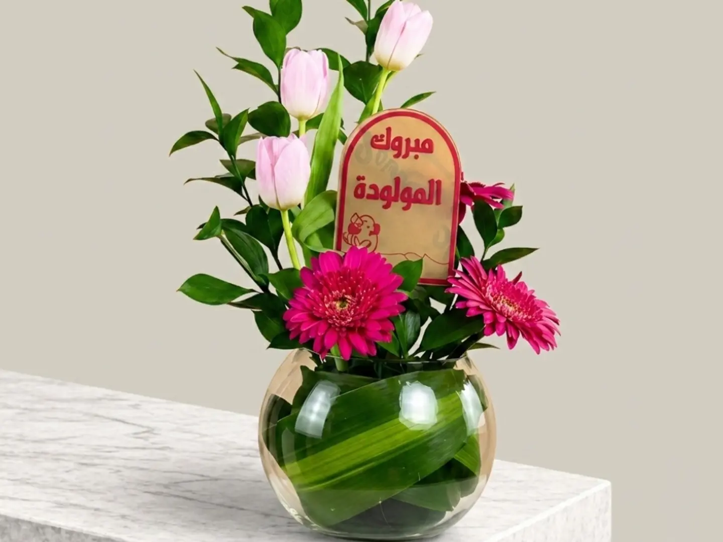 فازة مبروك المولودة