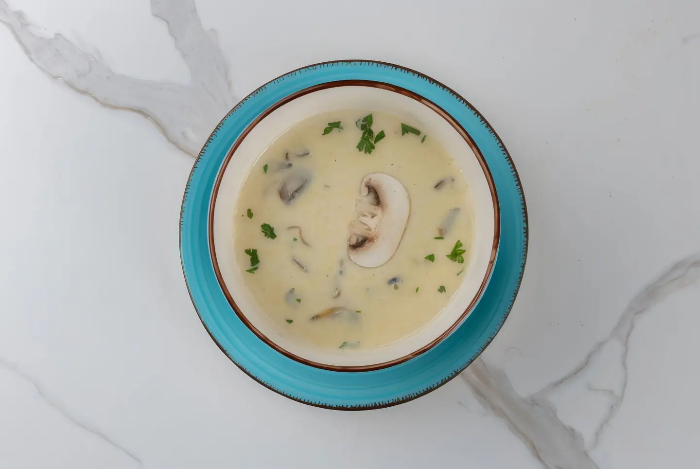 شوربة دجاج بالفطر