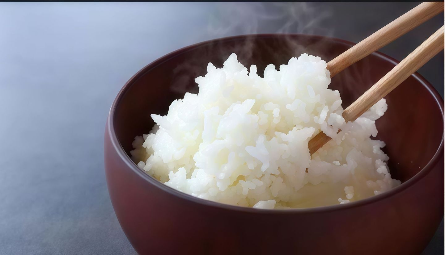 رز ابيض سادة