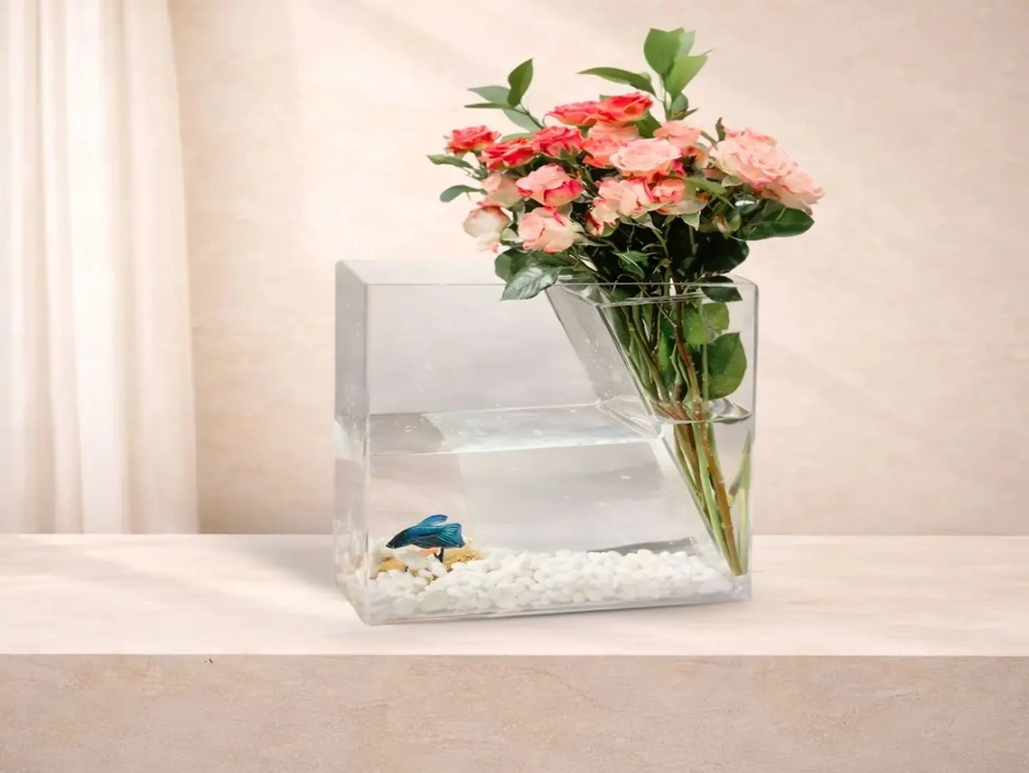 بوكس السمكة