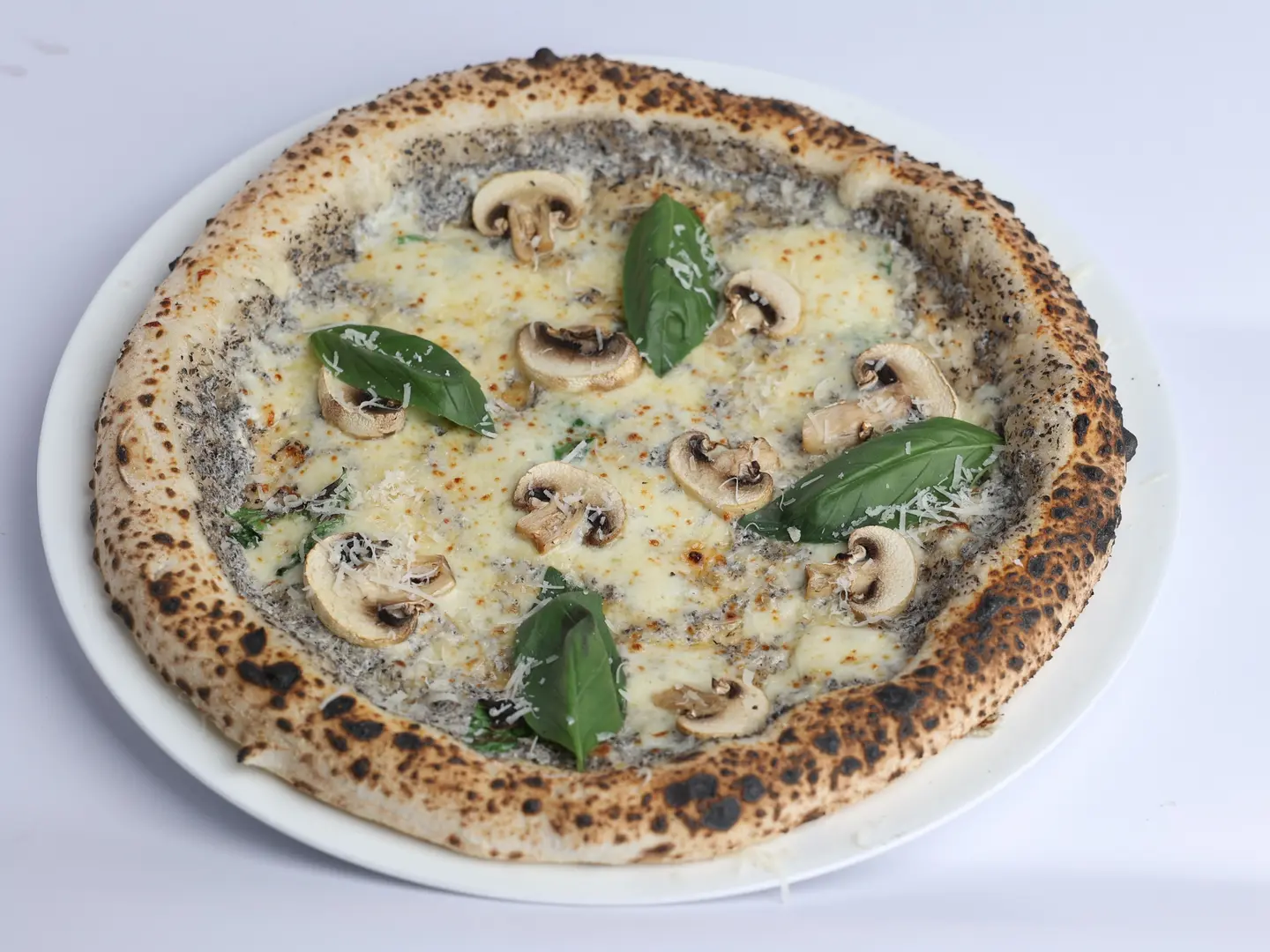 بيتزا ترافل