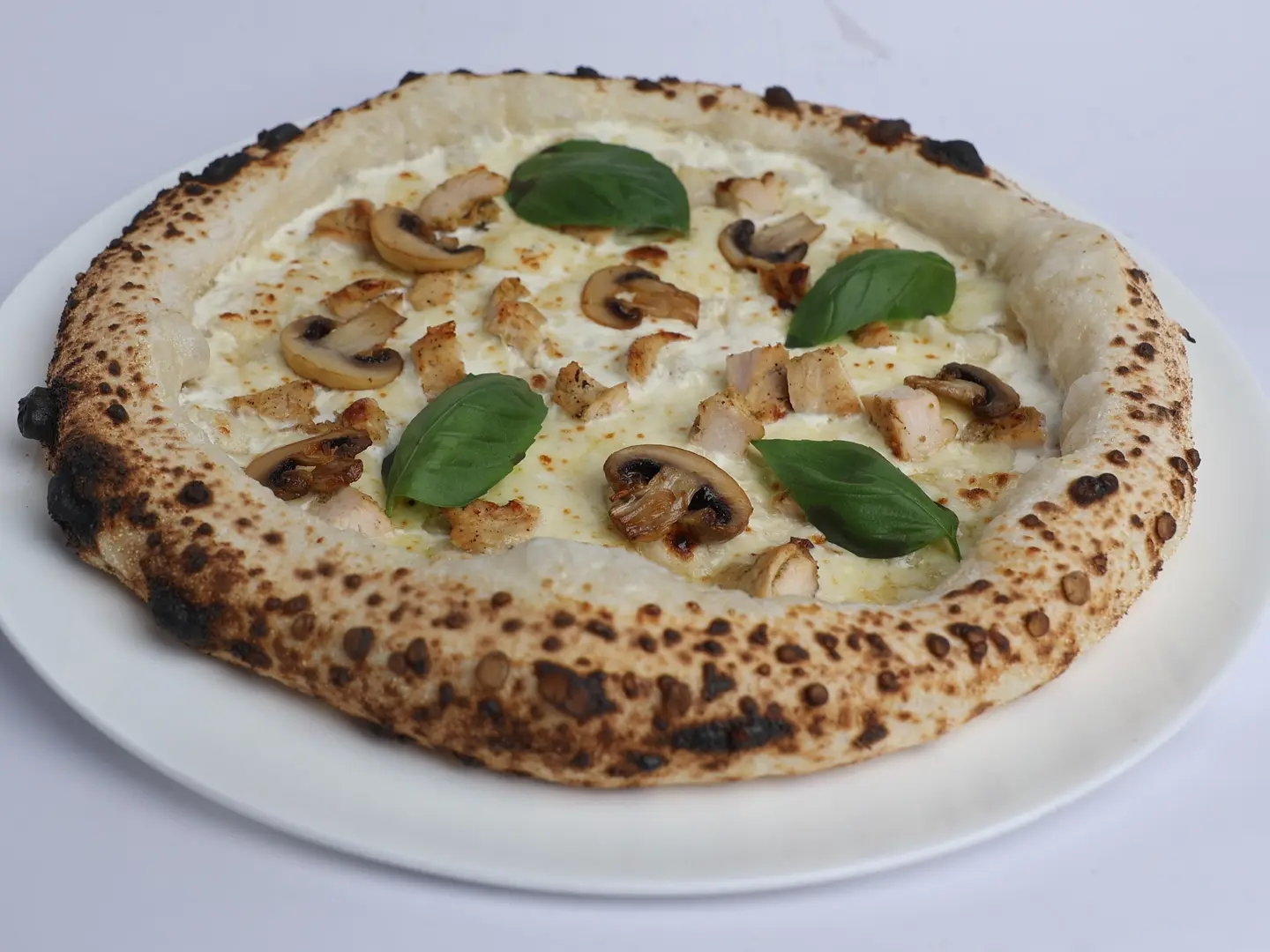 الفريدو تشيكن