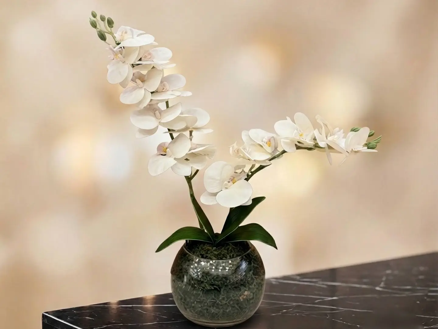 Plastic Orchid Vase 1