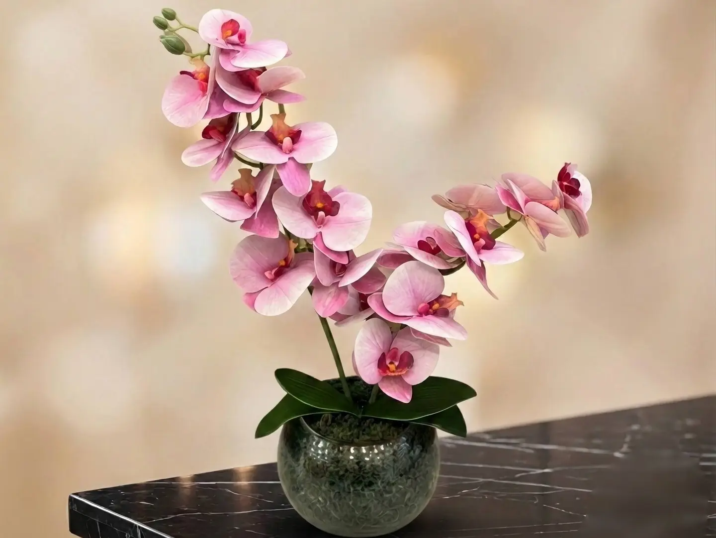 Plastic Orchid Vase 2