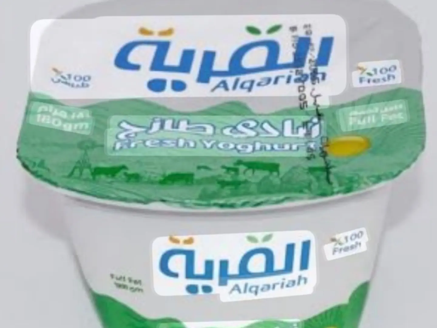 Village Yogurt