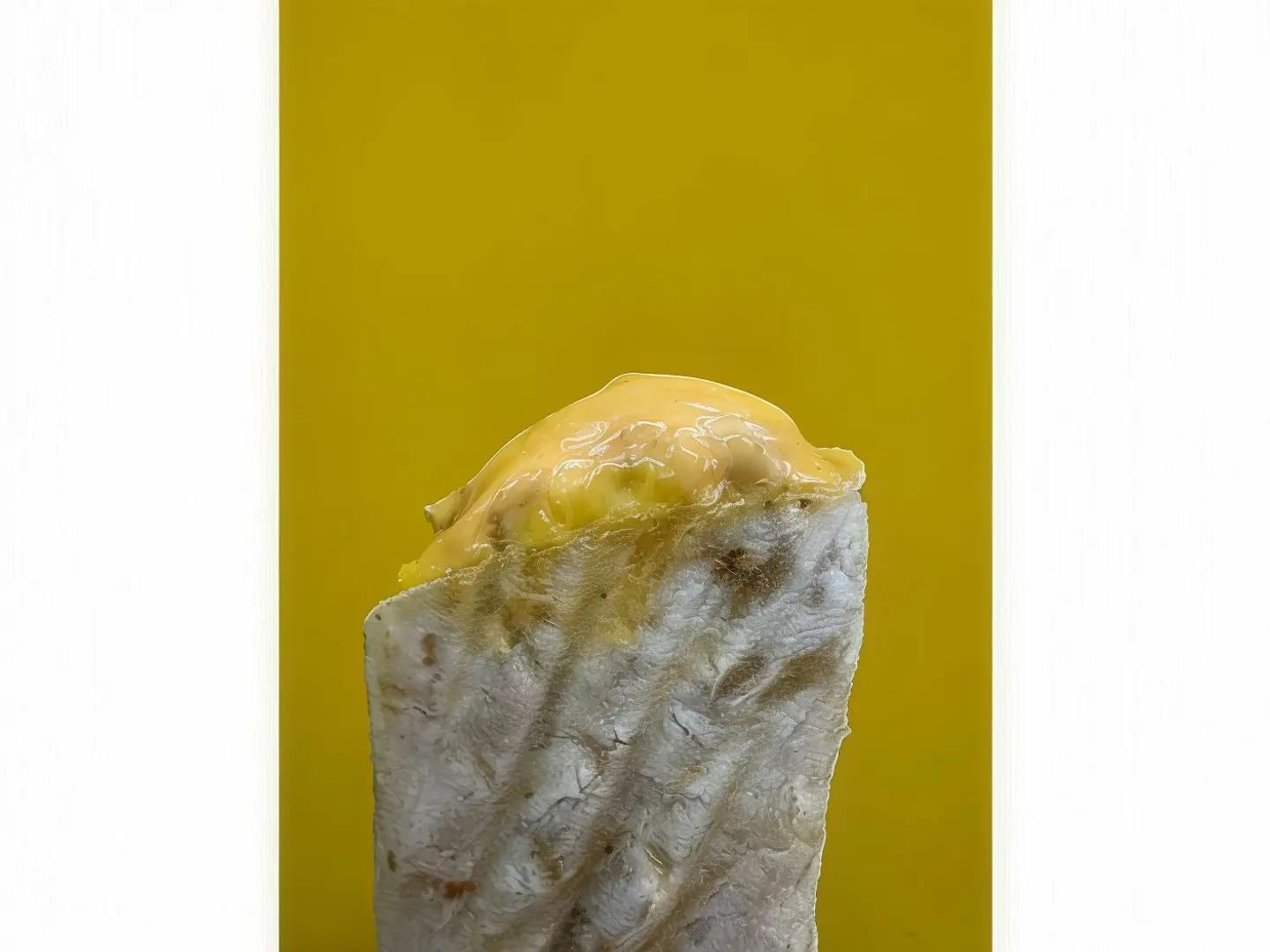 توستر بريسكت