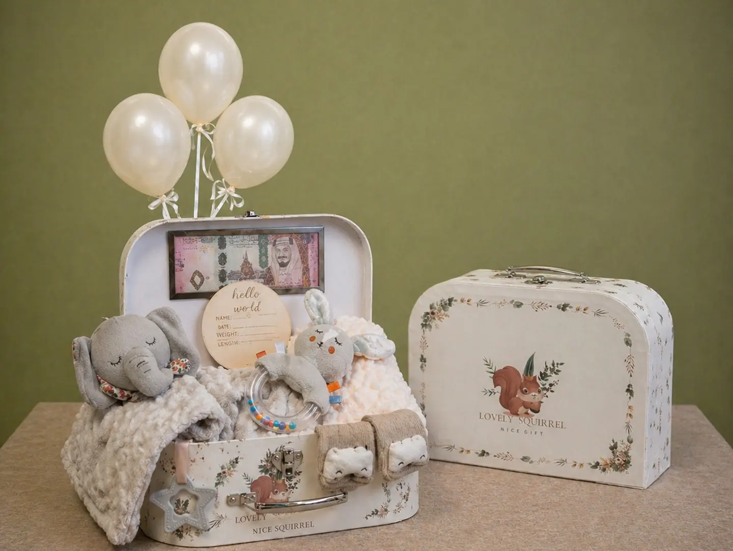 Elegant Baby Gift Suitcase