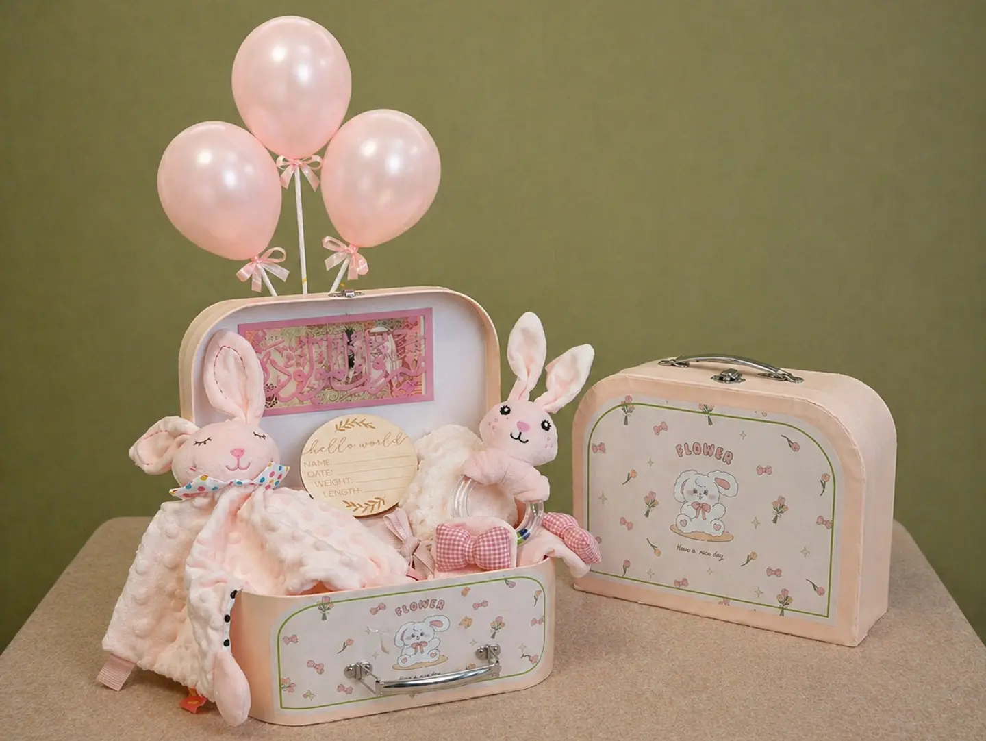 Elegant Baby Gift Suitcase