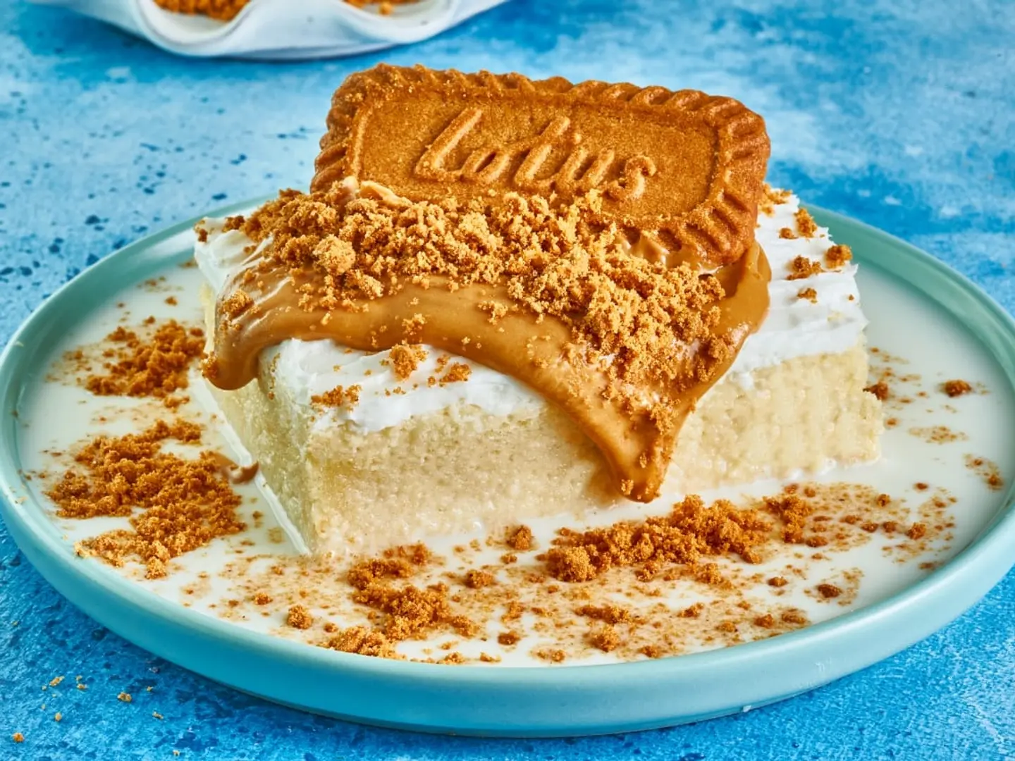 قشطوطة لوتس