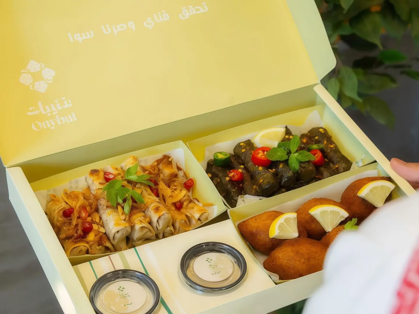 مشكل عنيبات - كبير