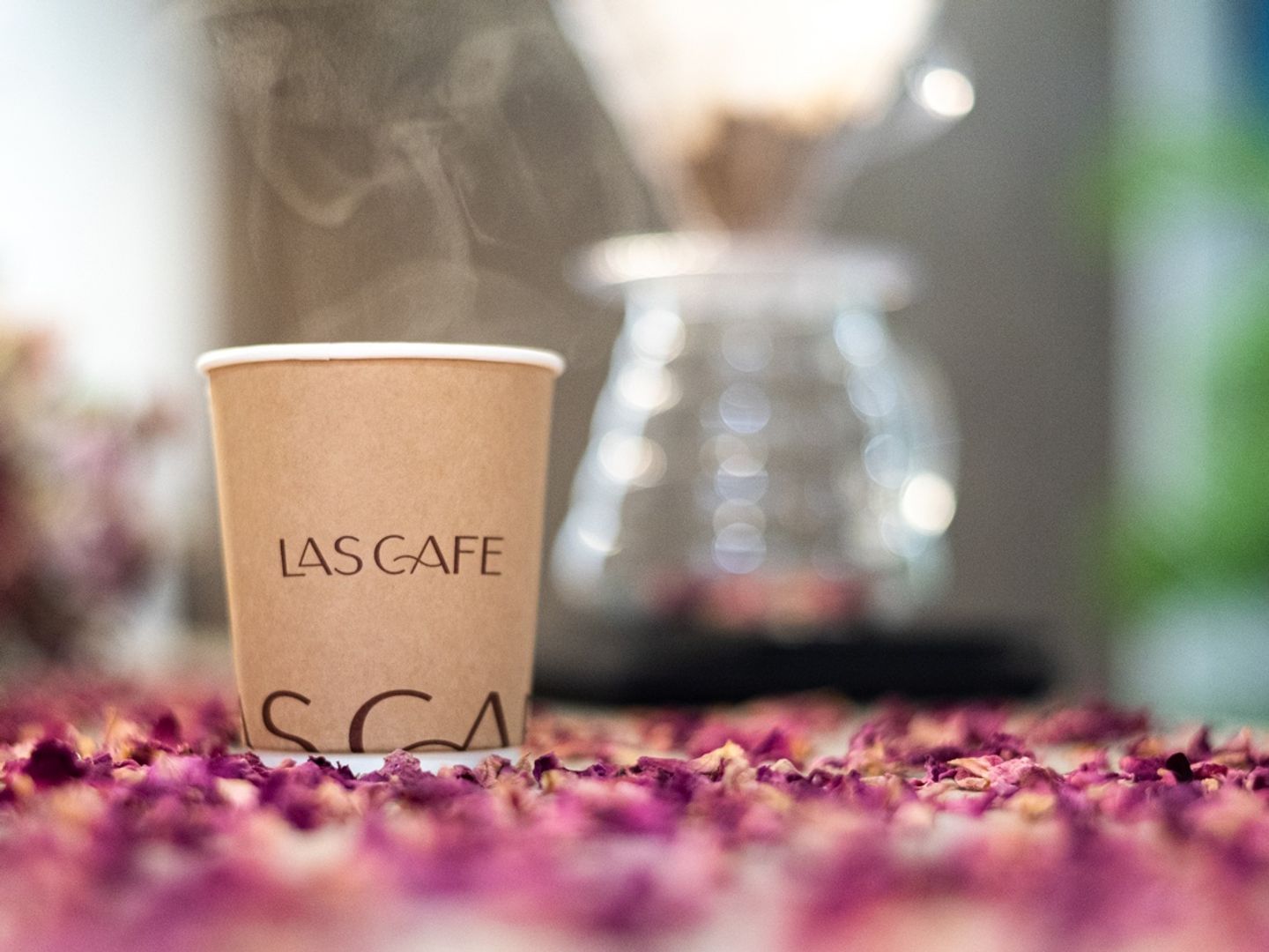 V60 Flower Hot