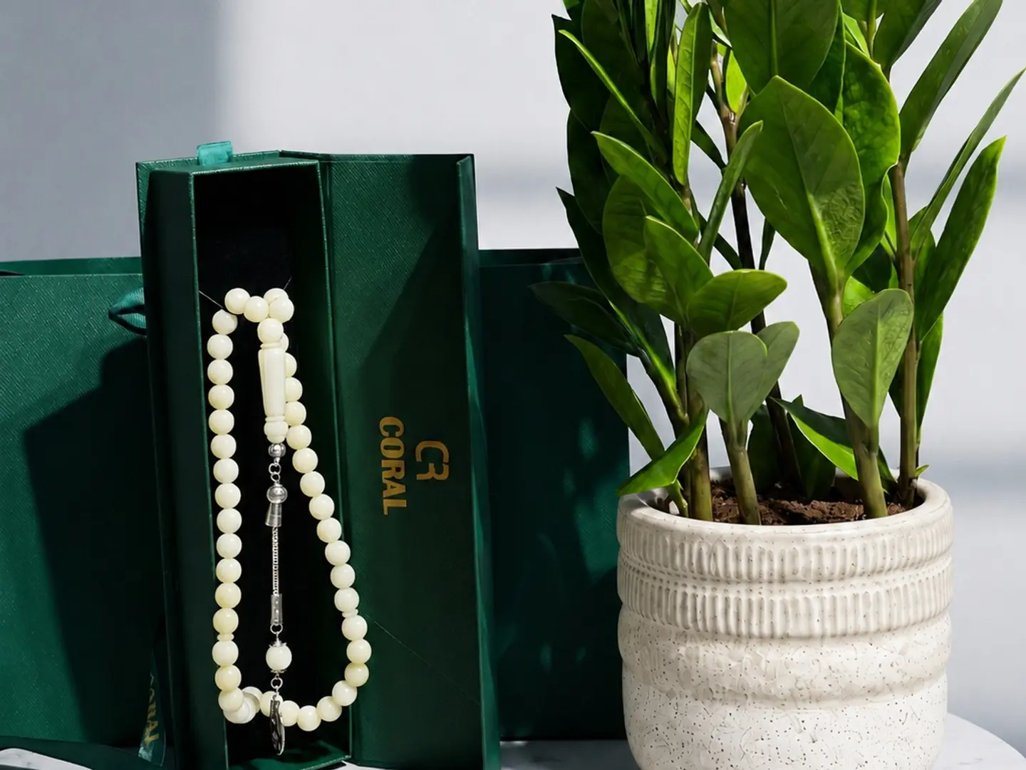 Zamia Plant With A Rosary