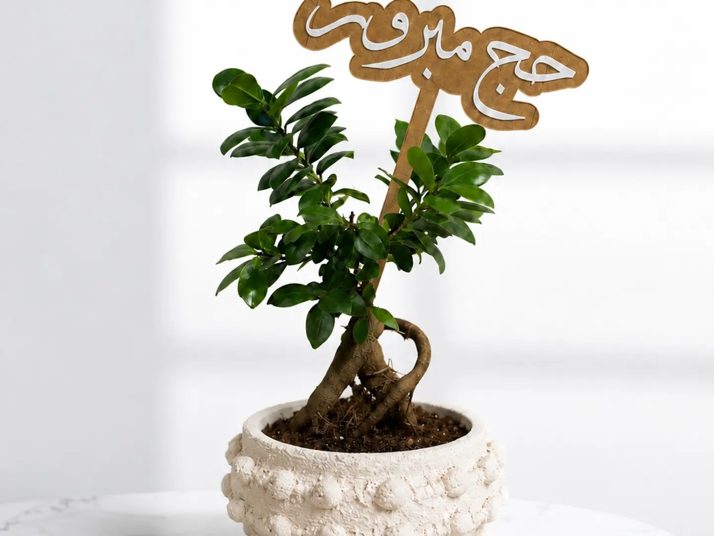 Hajj Plant