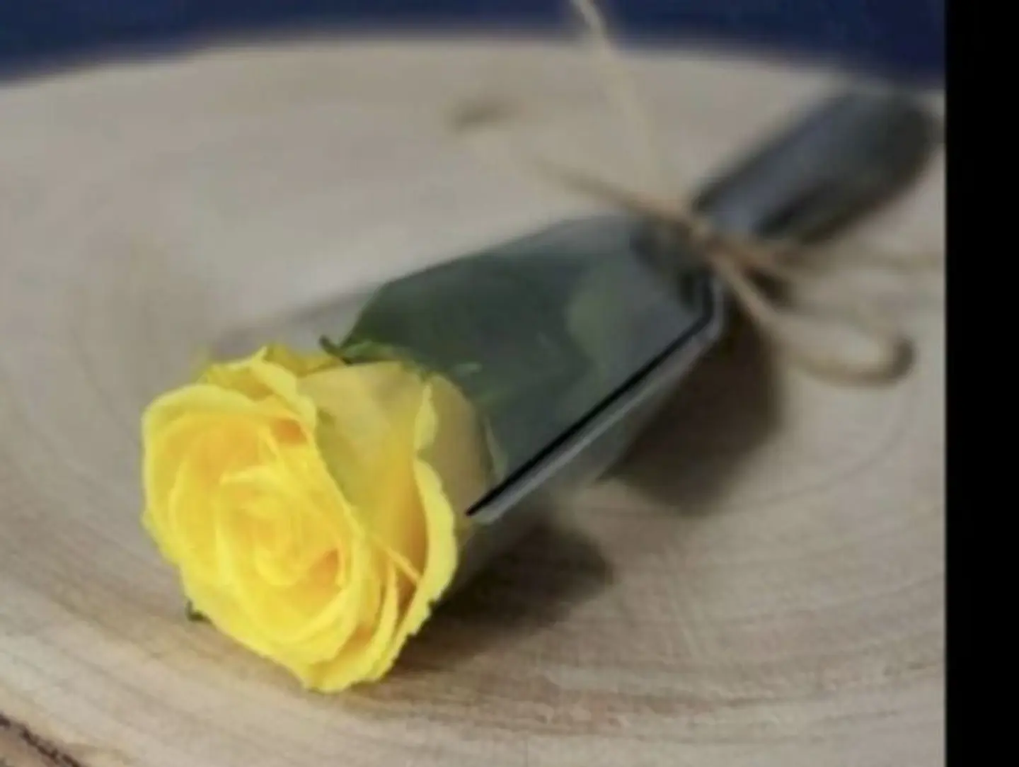 A Yellow Rose Wrapped