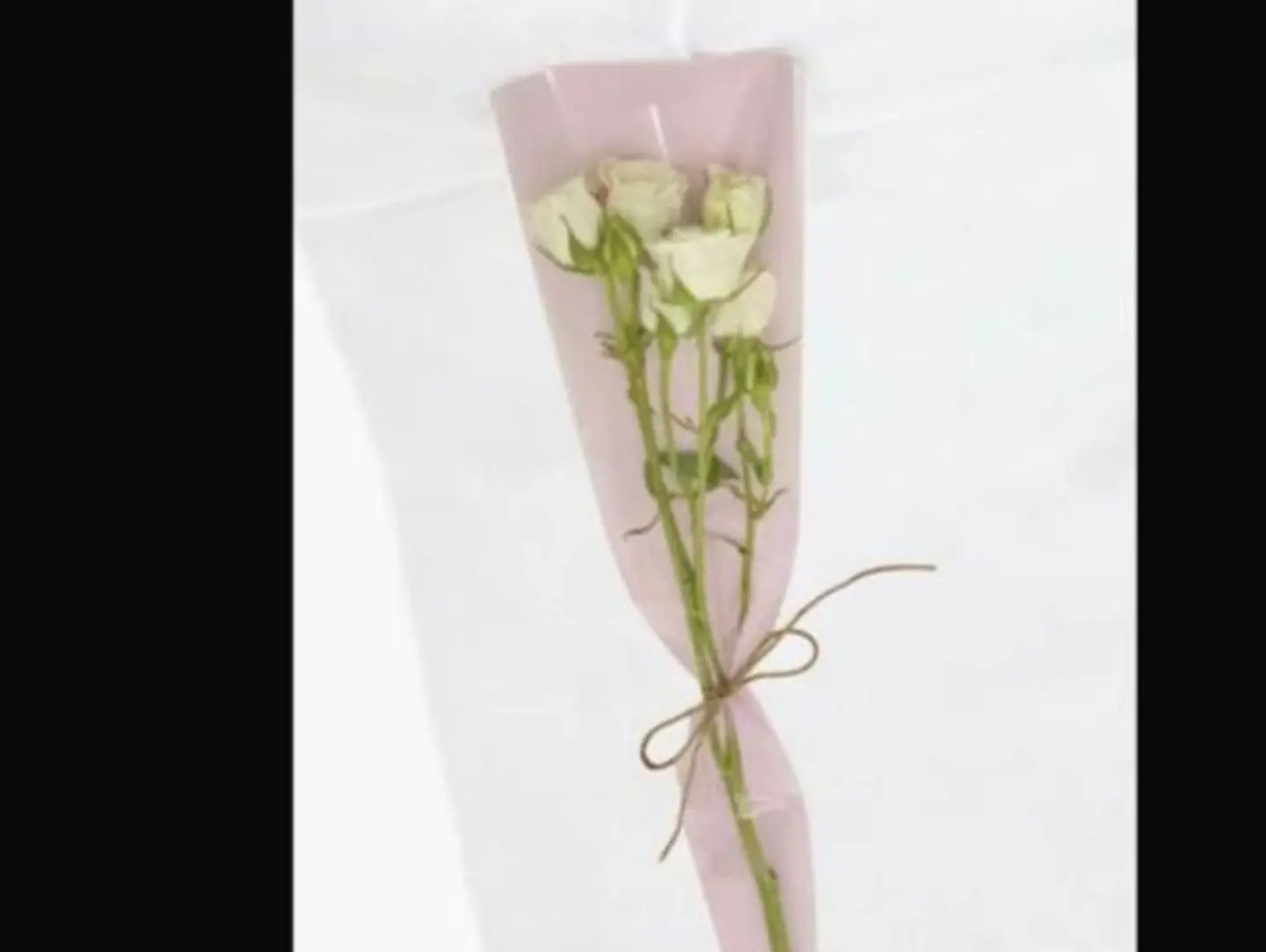 Baby Rose Branch, White, Wrapped