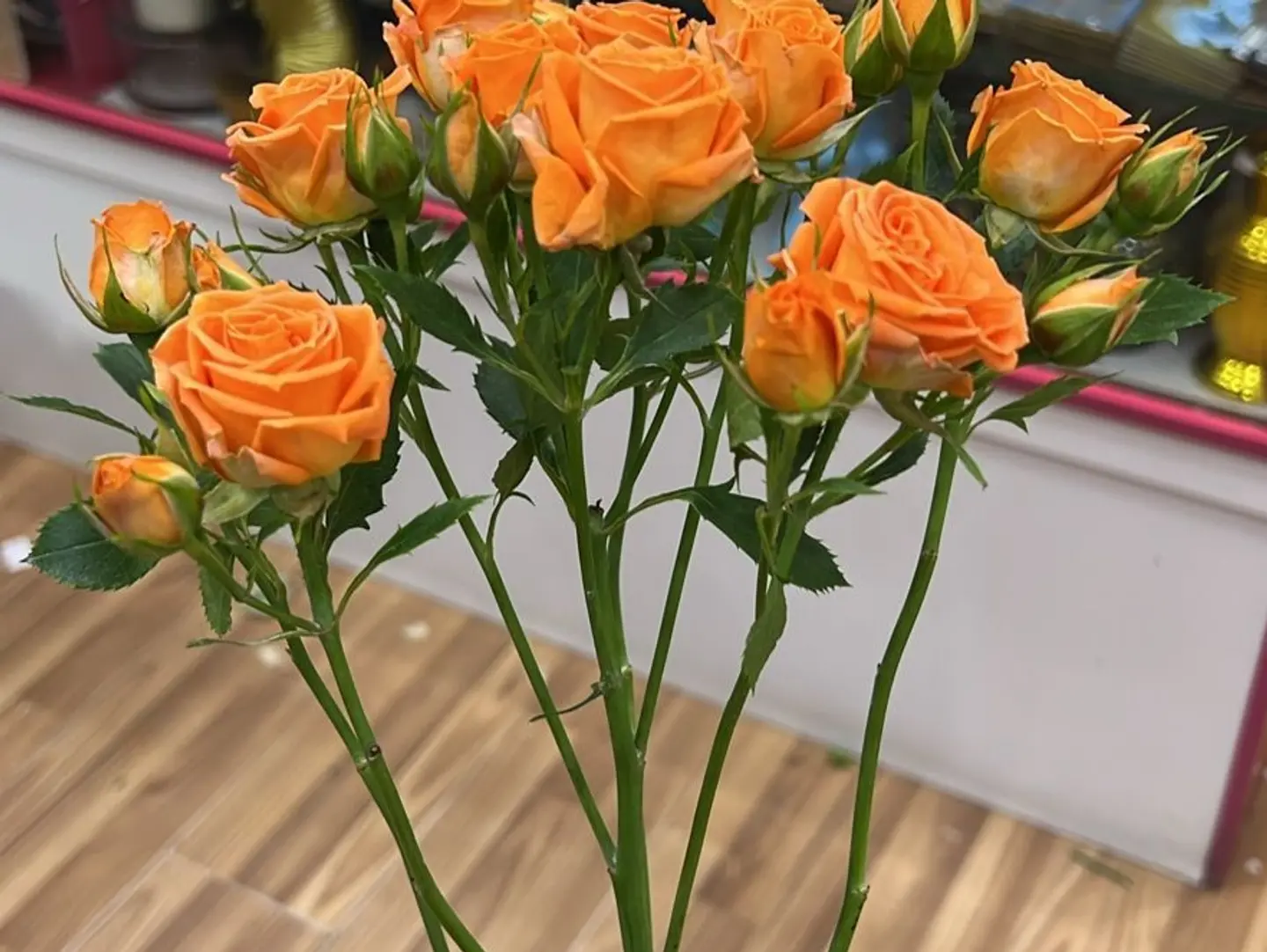 Orange Baby Rose Branch.