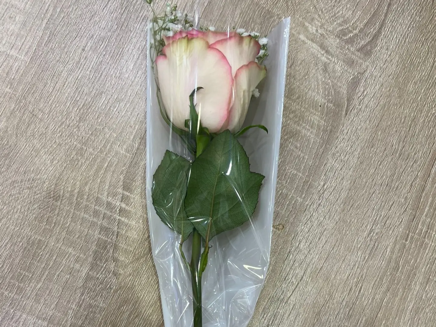 Pink Rose