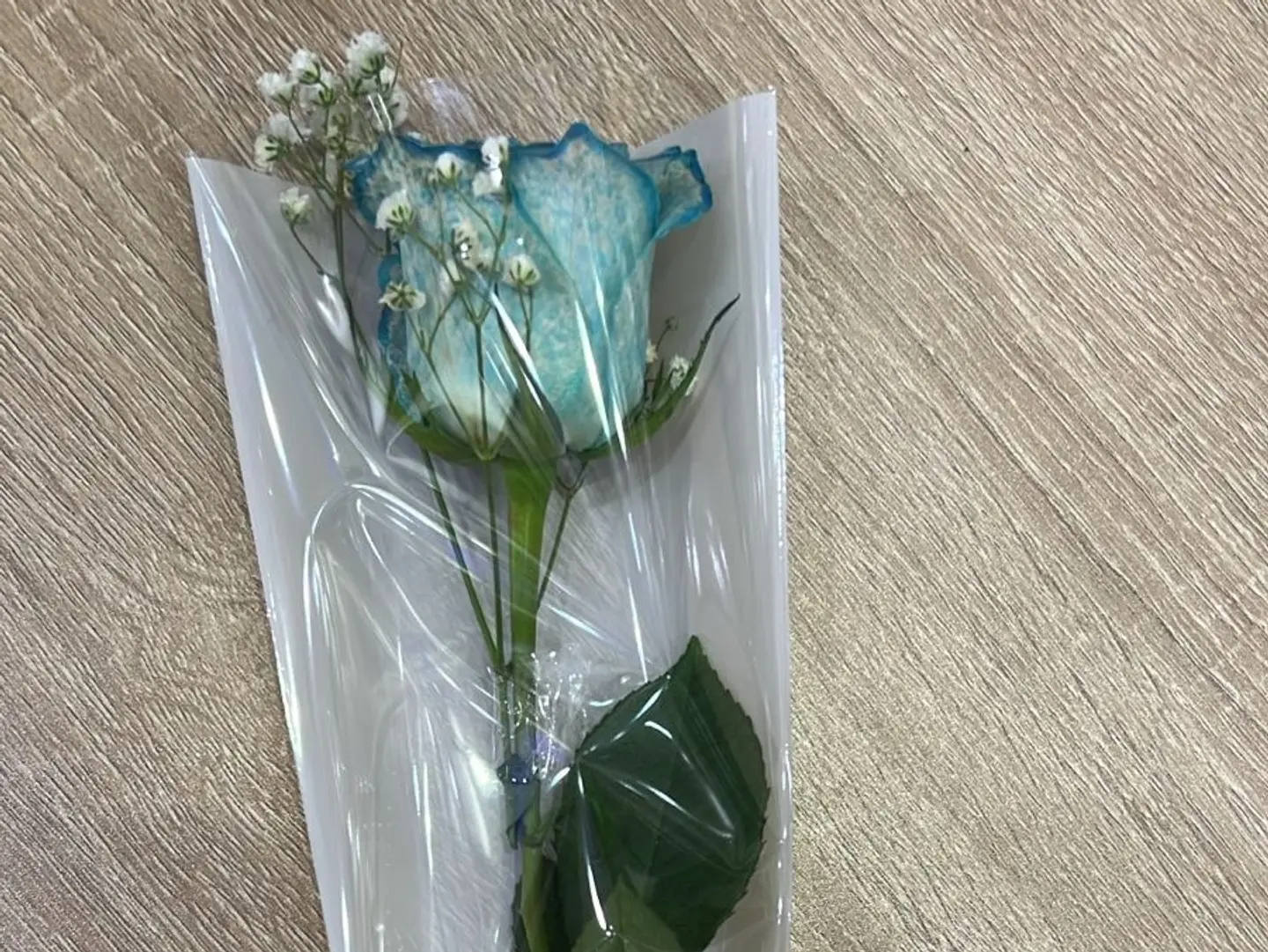 Sky Blue Rose