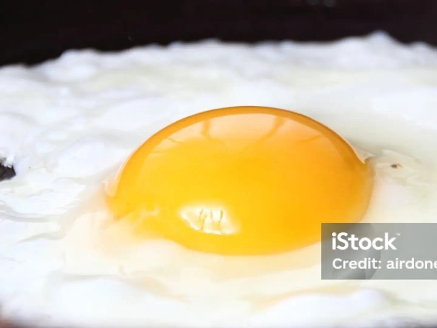 Eye Egg