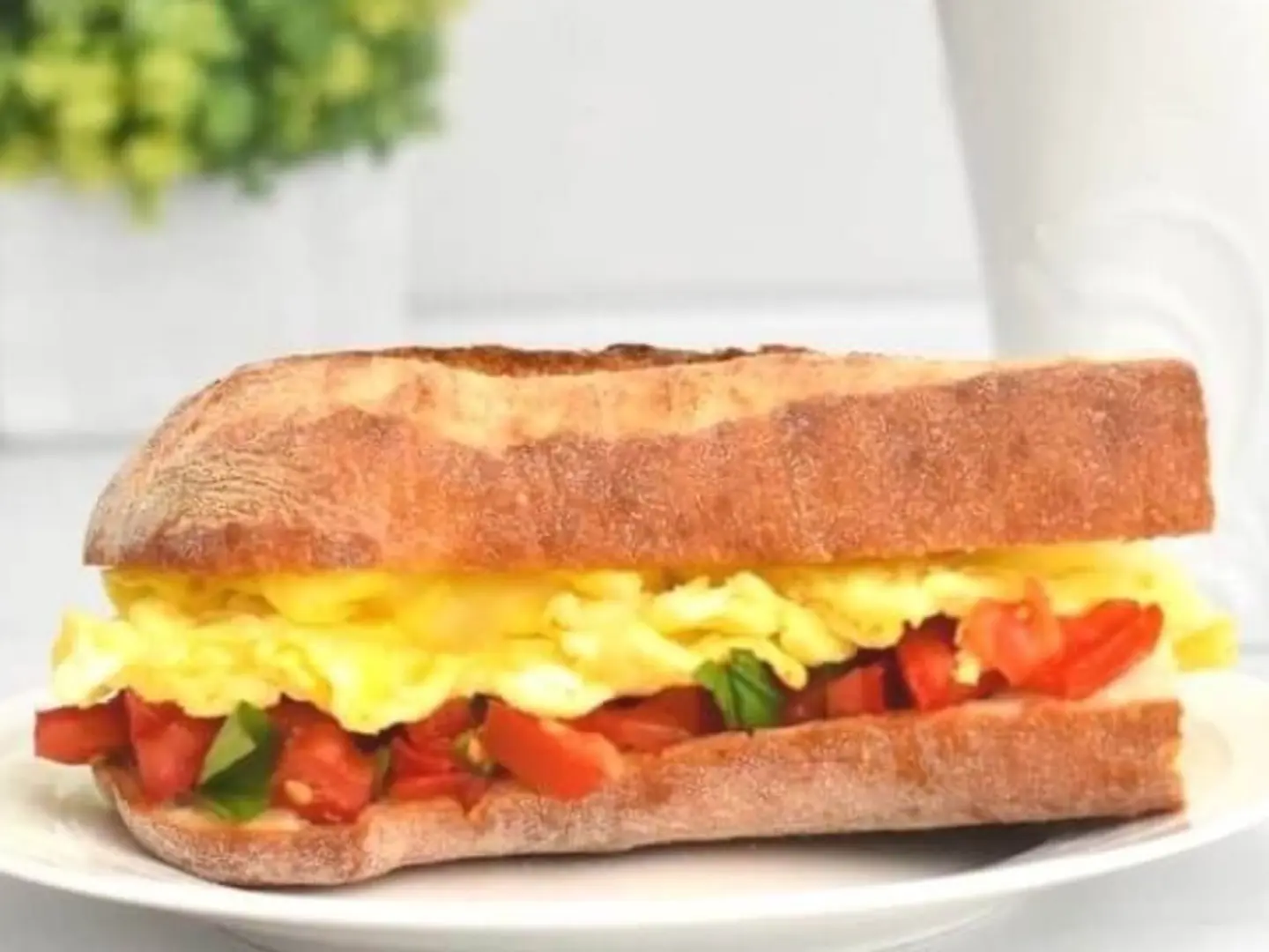 Egg And Tomato Sandwich