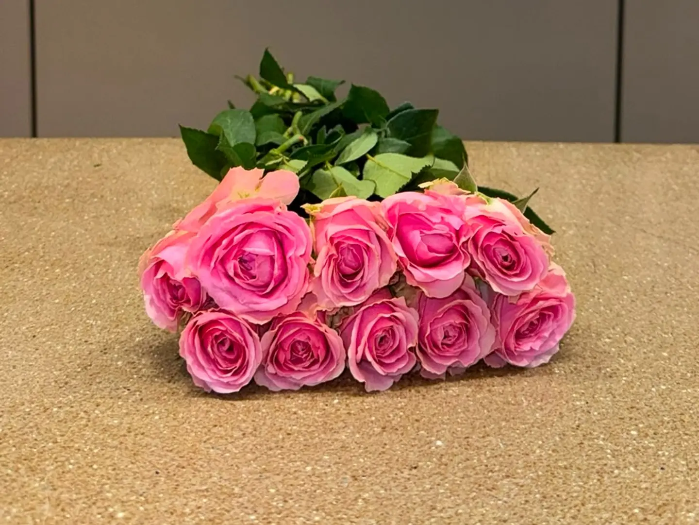 Dark Pink Rose