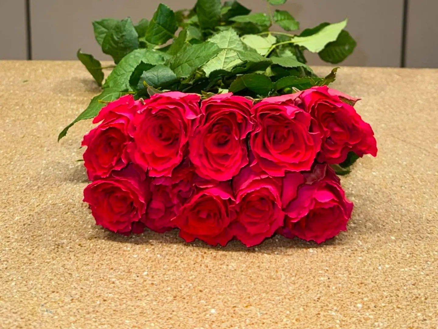 Rose Fushi