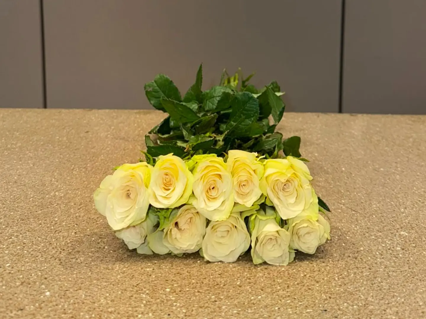 White Rose