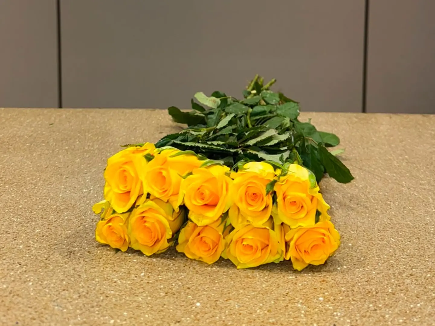 Yellow Rose