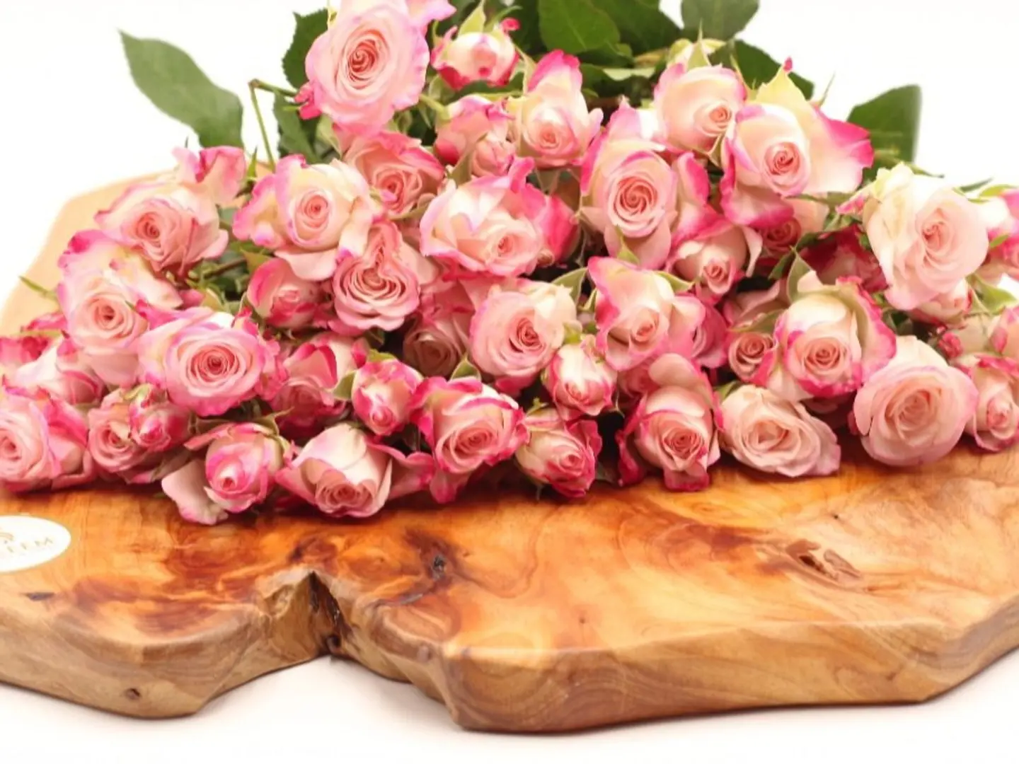 Baby Rose Double Banki