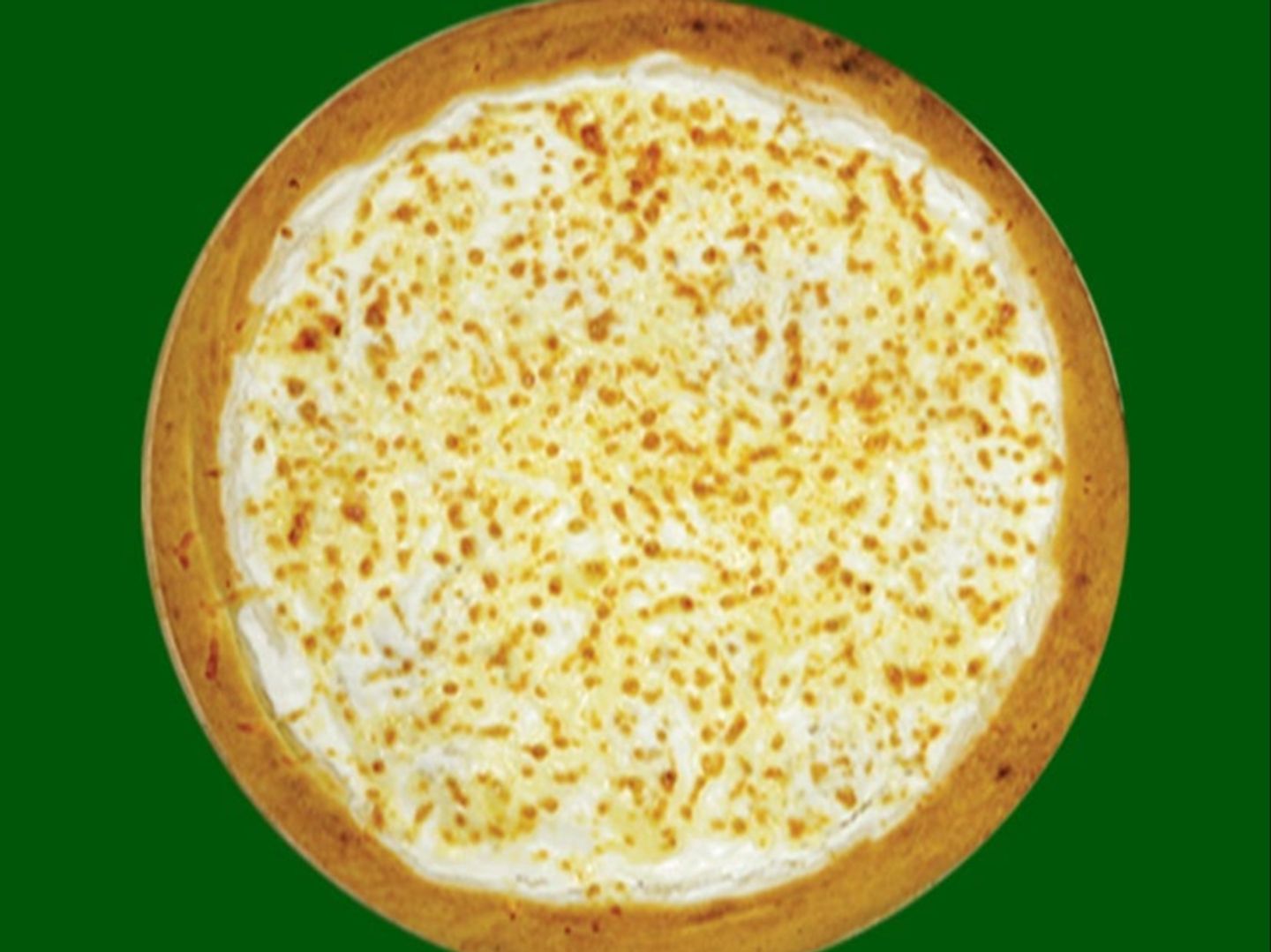 Plain Cheese Pizza