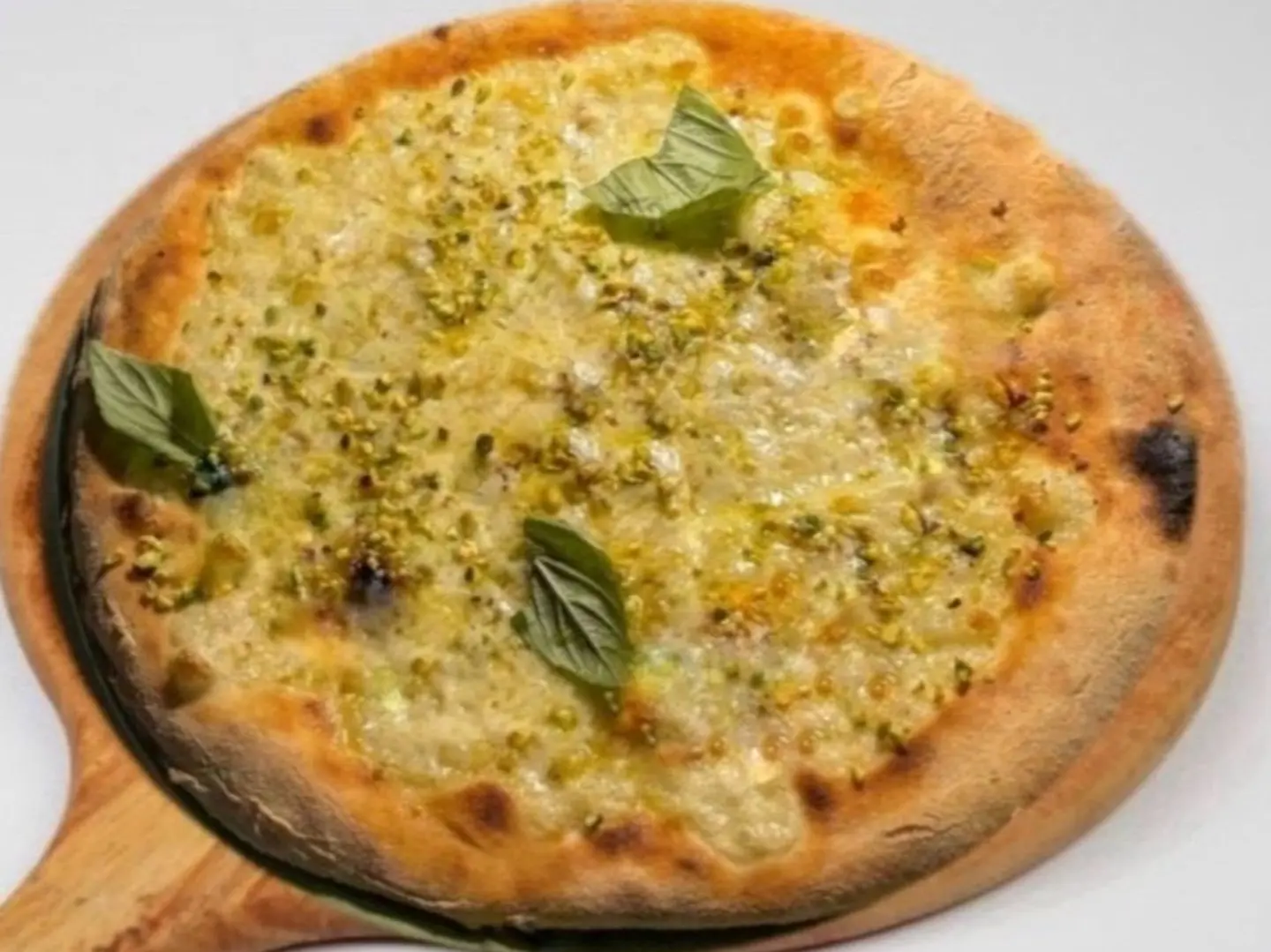 Five Cheese Napoli(Small)