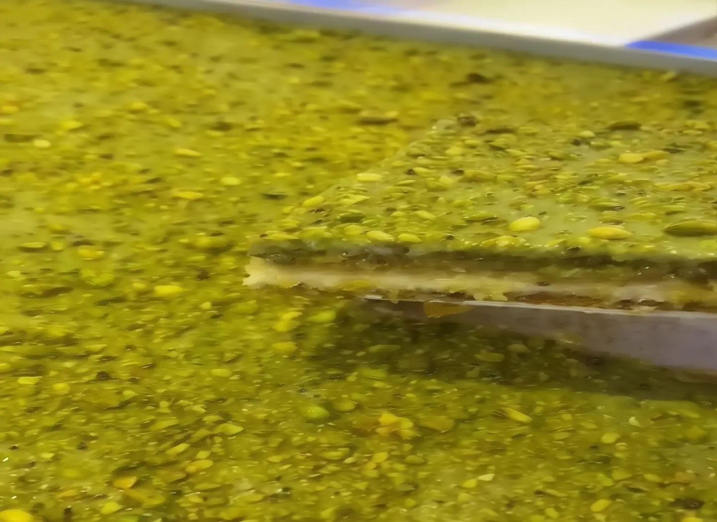 Basbousa Pistachio