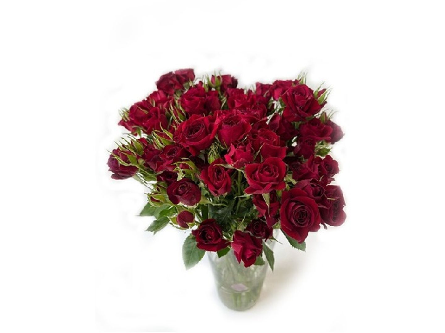 Baby Jourie Flower Vase