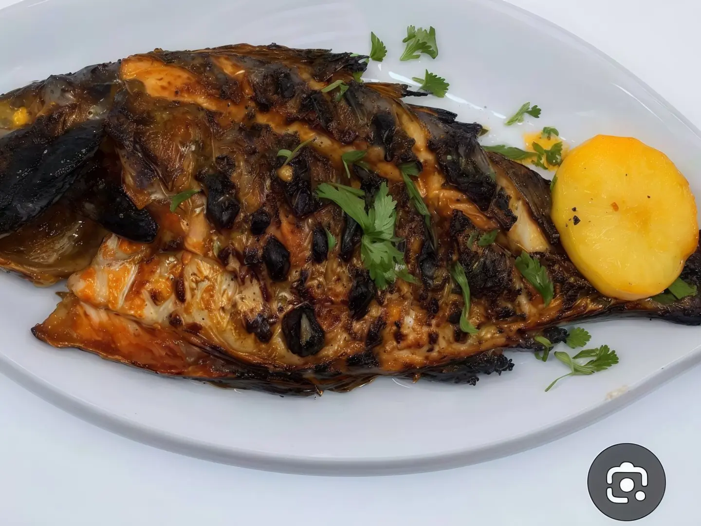 وجبه دنيس مشوي