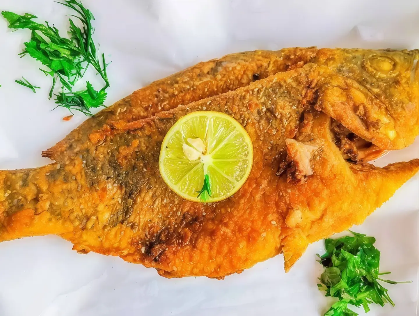 وجبه بلطي مقلي